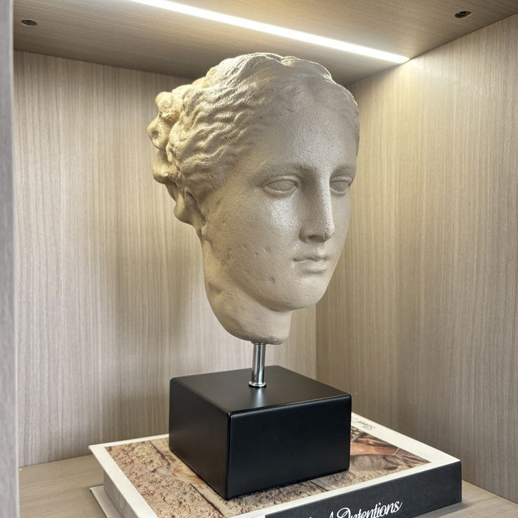 Artistic Head Sculpture