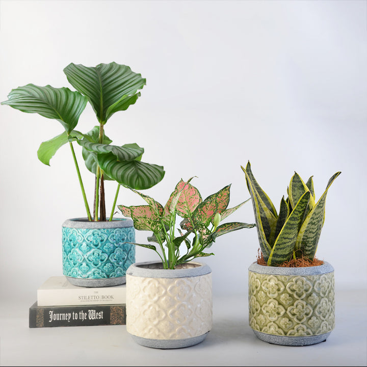 Flower pot Kalsten