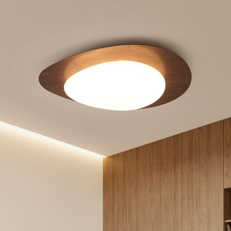 Modern Decorative Ceiling Light