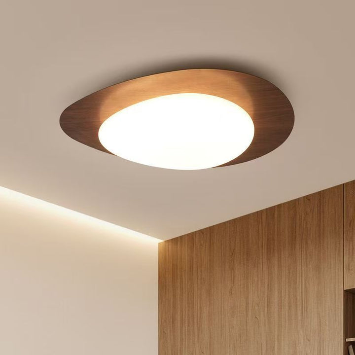 Modern Decorative Ceiling Light