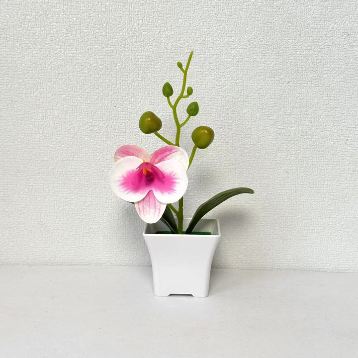 Lifelike Miniature Orchid Plant