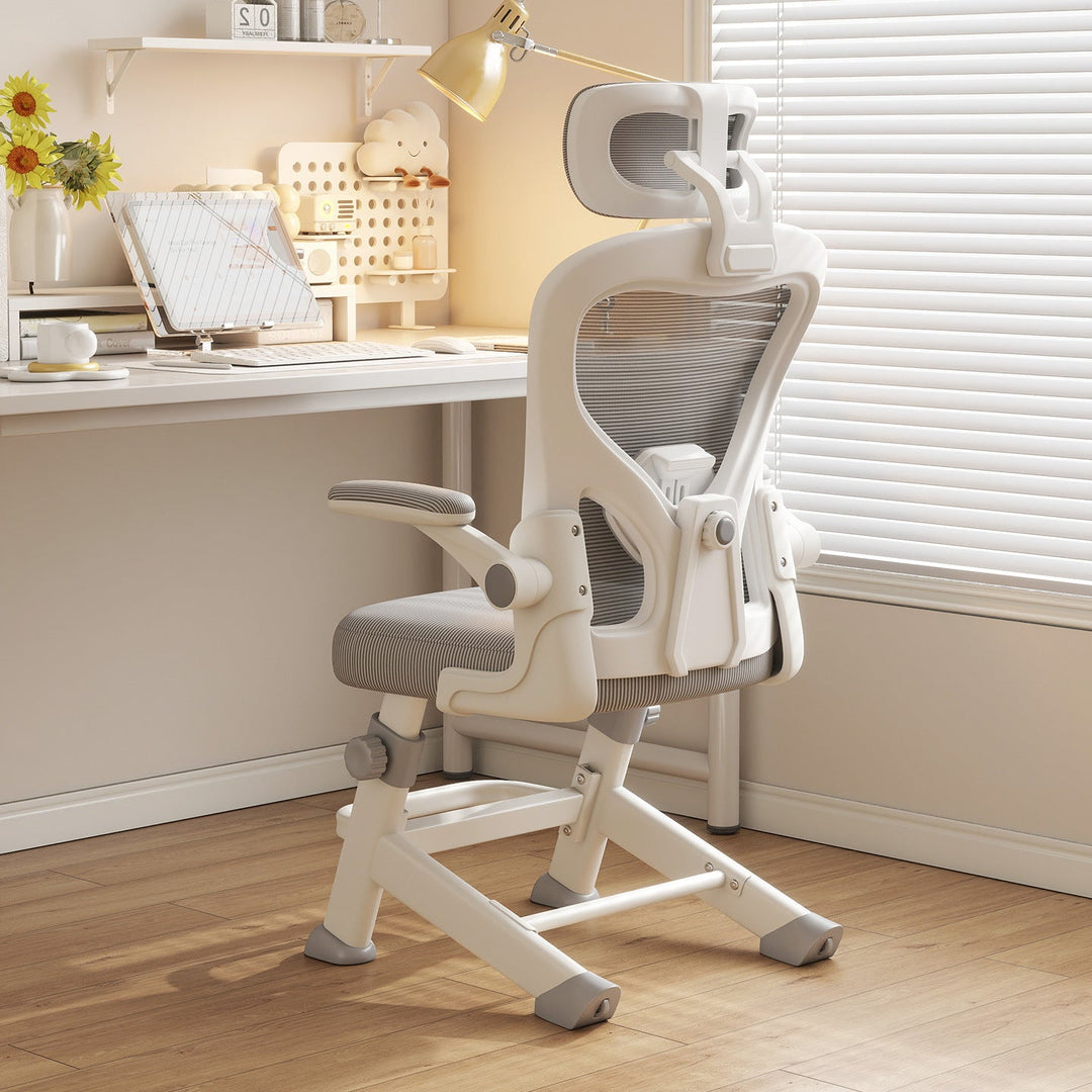 Ergonomic Office Chair Kalsten