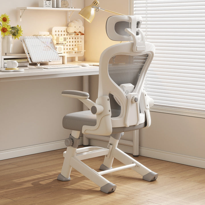 Ergonomic Office Chair Kalsten