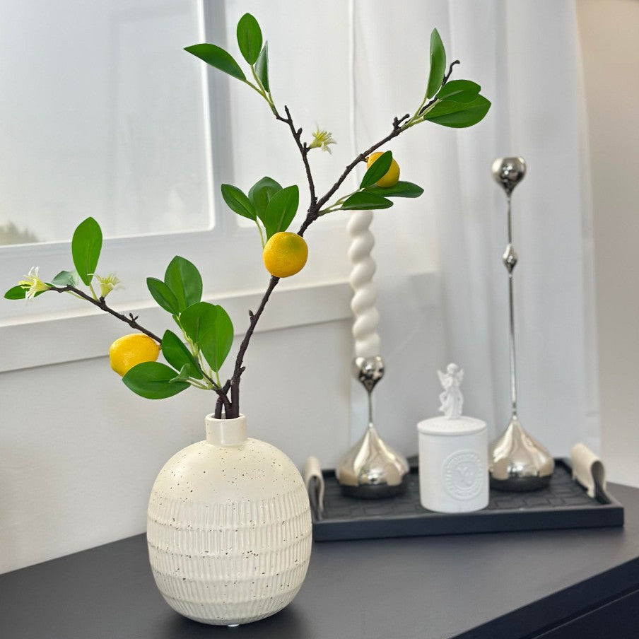 Decorative Vase for Indoor Home Display