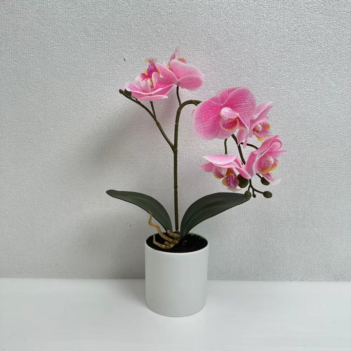 Lifelike Phalaenopsis Orchid Plant Arrangement