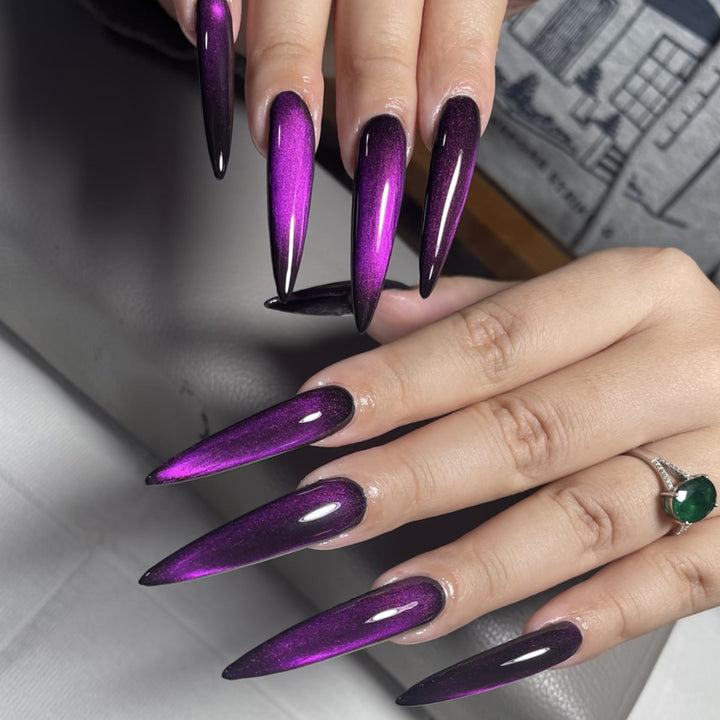 Glossy Stiletto Nail Extensions Kalsten