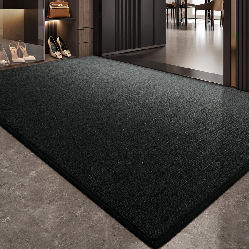 Modern Minimalist Entrance Mat