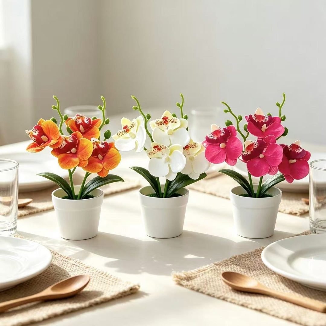 Elegant Decorative Orchid Floral Arrangement for Home Decor