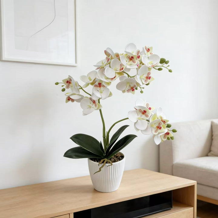 Lifelike Orchid Floral Arrangement