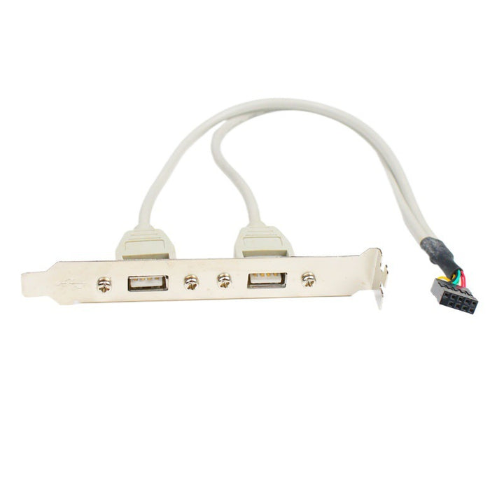 USB Expansion Card with Dual USB Ports Kalsten