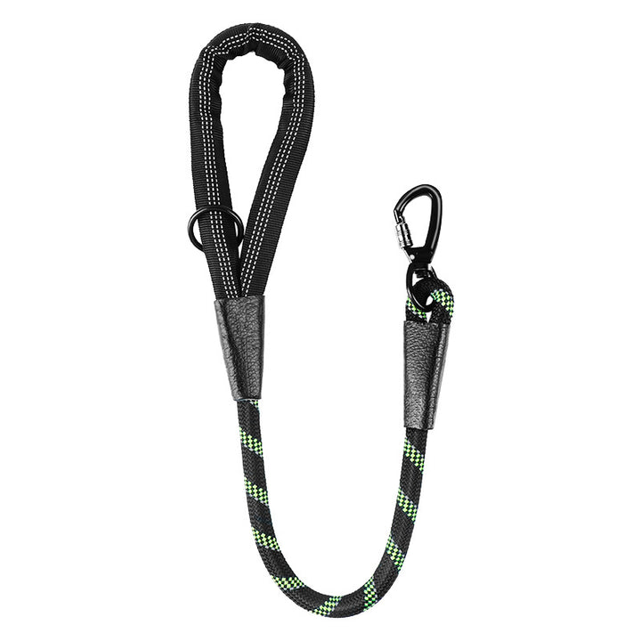 Dog Leash