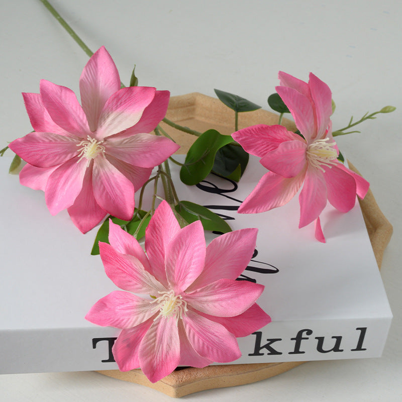 Decorative Floral Clematis Stem