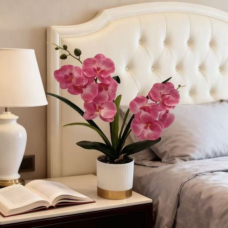 Orchid Floral Pot Arrangement