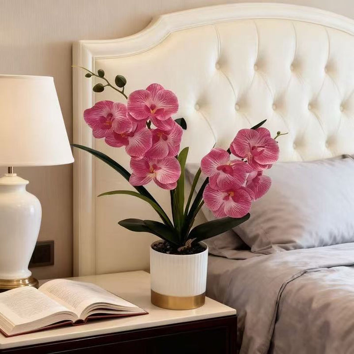 Orchid Floral Pot Arrangement
