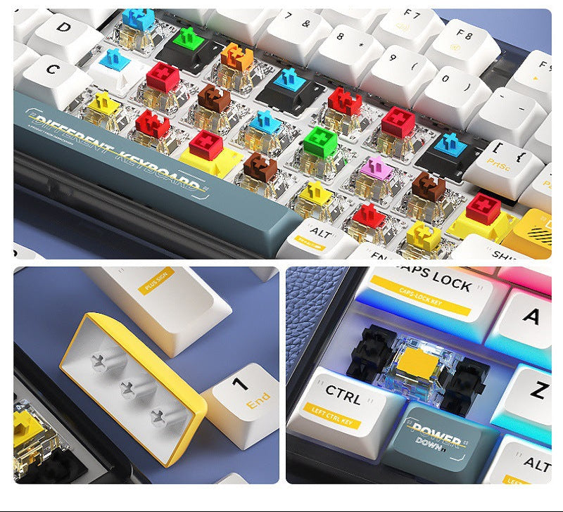 Mechanical Keyboard Kalsten