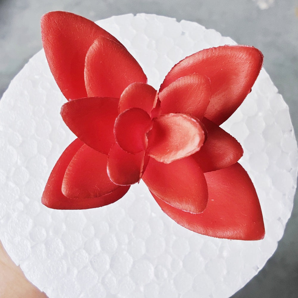 Decorative Succulent Stones Kalsten
