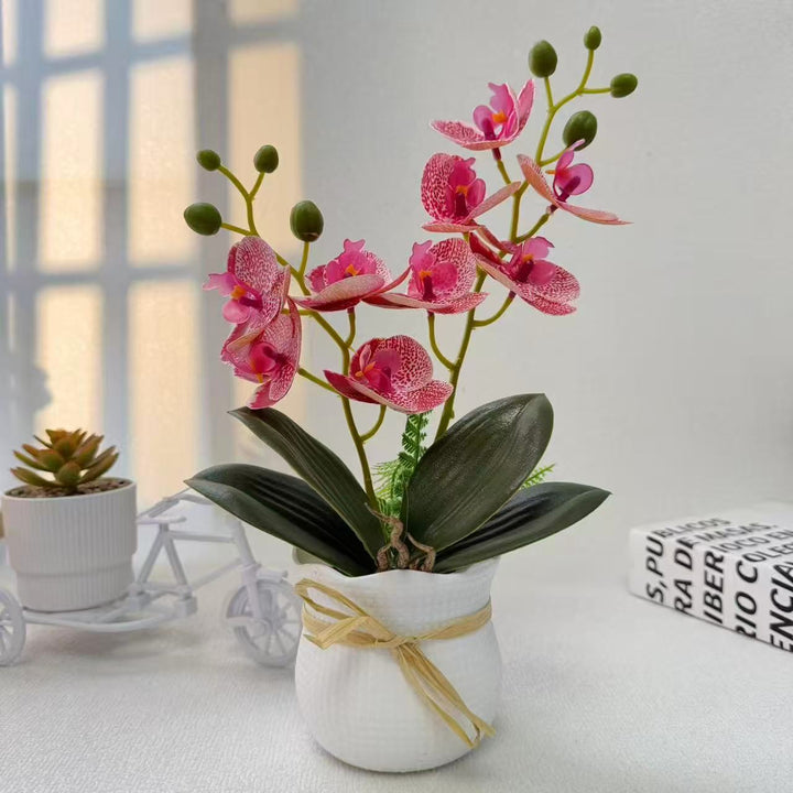 Realistic Decorative Orchid Plant