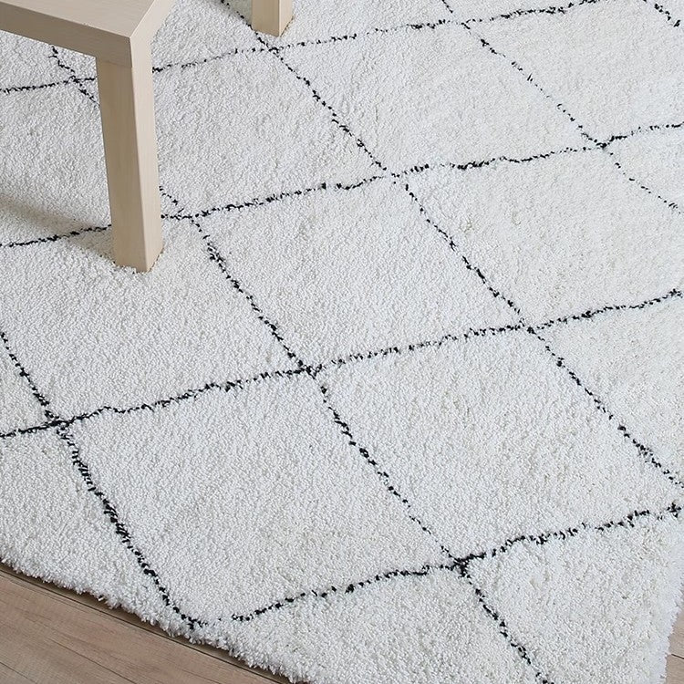 Home Décor Area Rug for Indoor Display