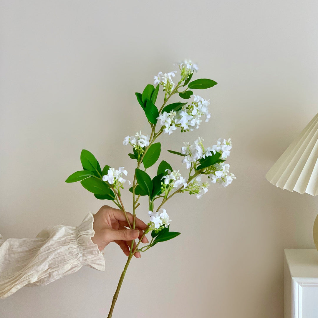Decorative Botanical Stem Arrangement