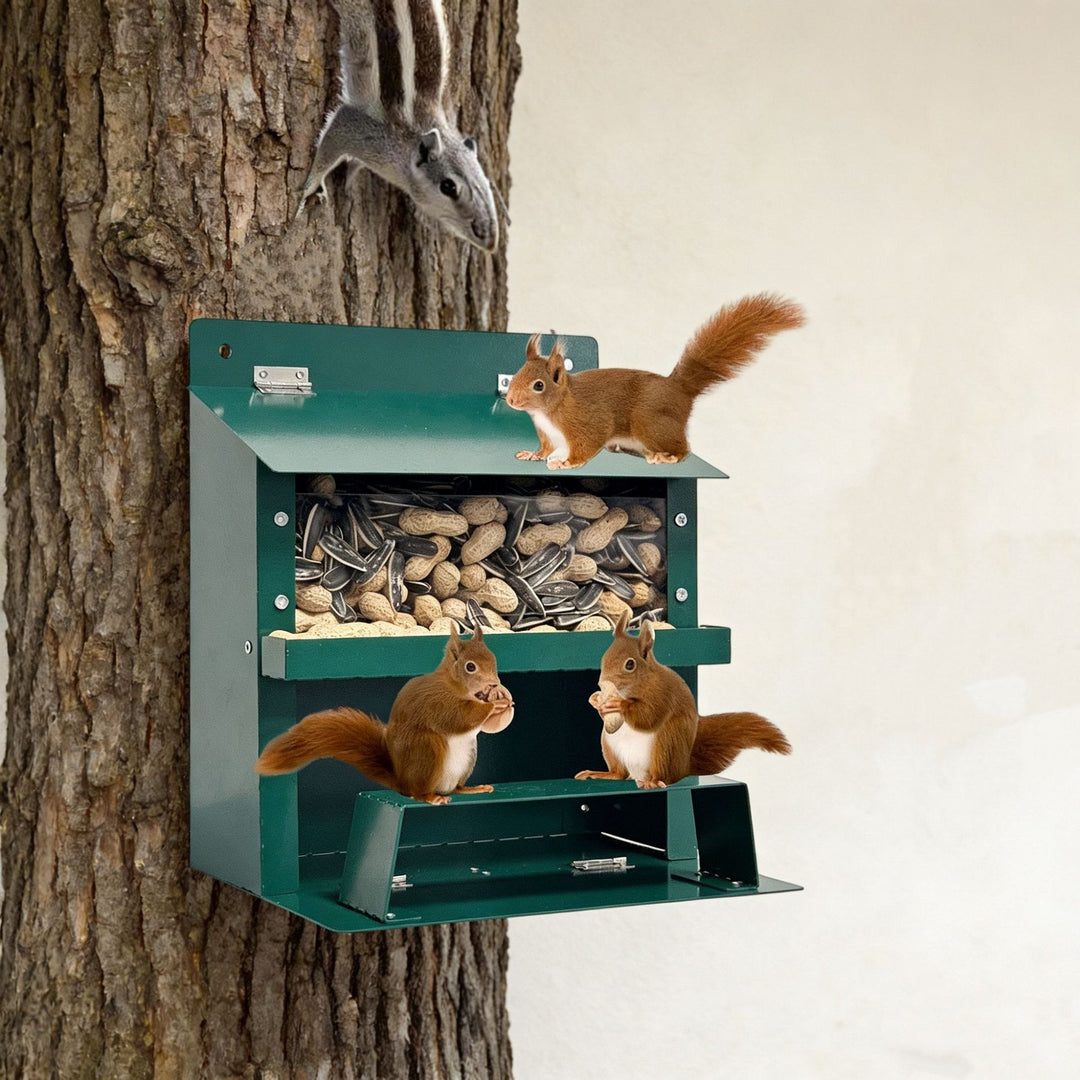 Decorative Wall-Mounted Bird Feeder Kalsten