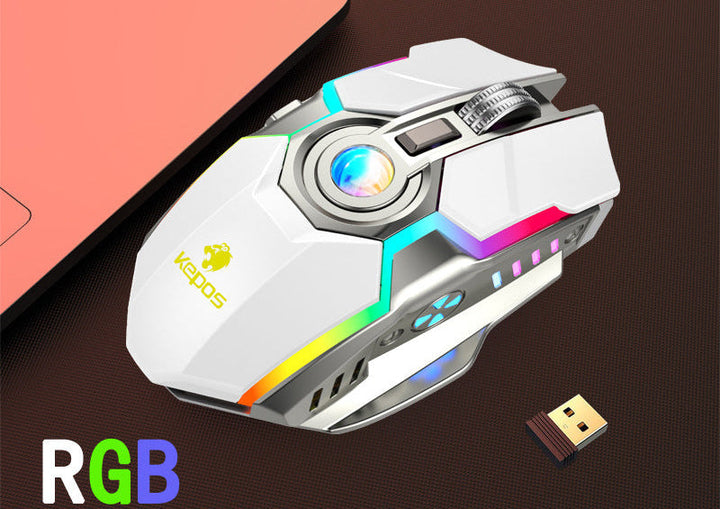 RGB Wireless Gaming Mouse with Customizable LED Lighting Kalsten