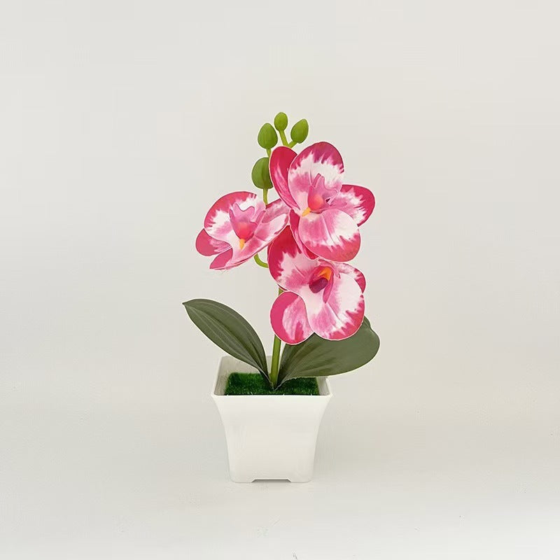 Realistic Artificial Orchid in Decorative Plant Pot for Decor