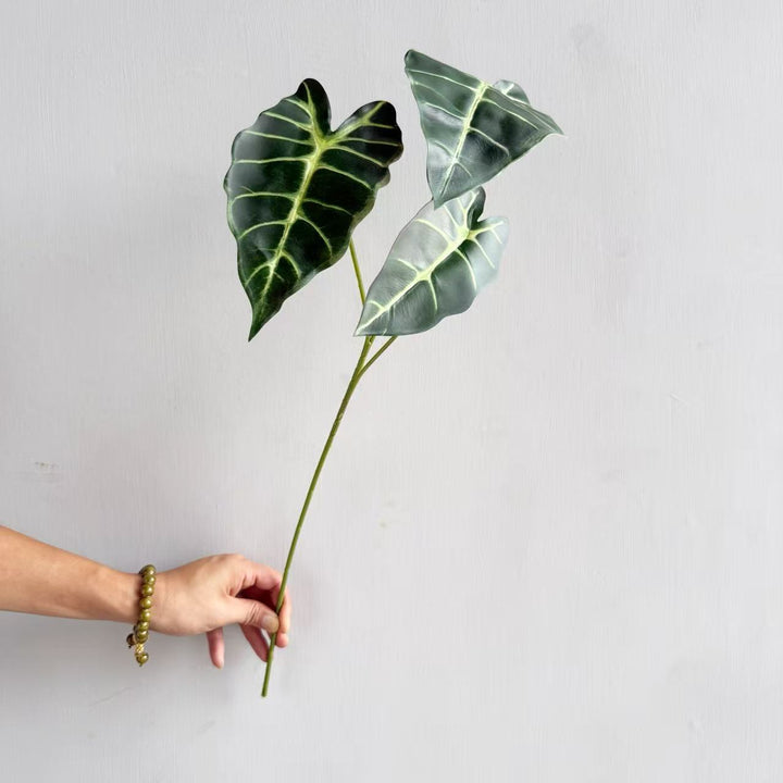 Modern Decorative Plant
