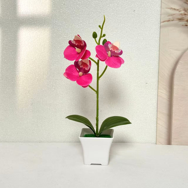 Artificial Orchid Arrangement for Home and Office Decor