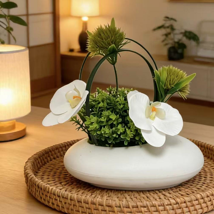 Home Decor Decorative Accent for Indoor Display and Styling