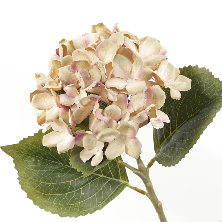 Decorative Hydrangea Stem