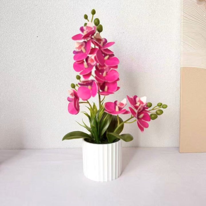 Realistic Indoor Orchid Plant Arrangement