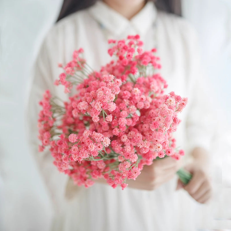 Elegant Floral Stem