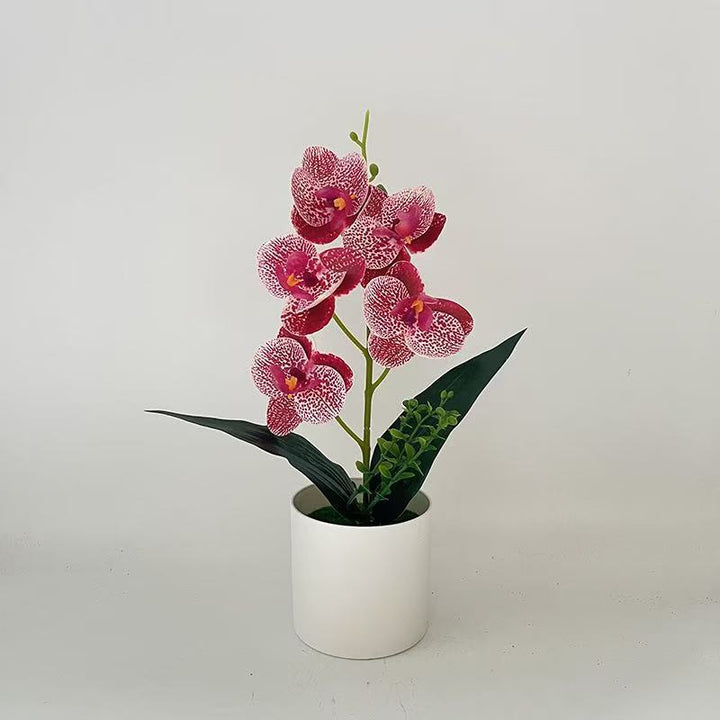Artificial Orchid Plant for Home Decor and Indoor Display