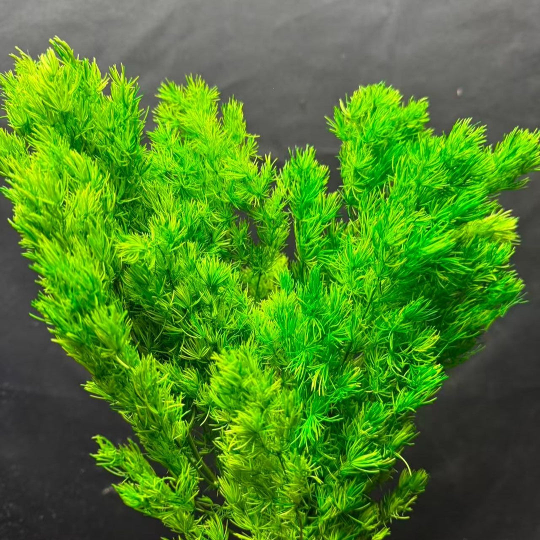 Decorative Dried Foliage Arrangement