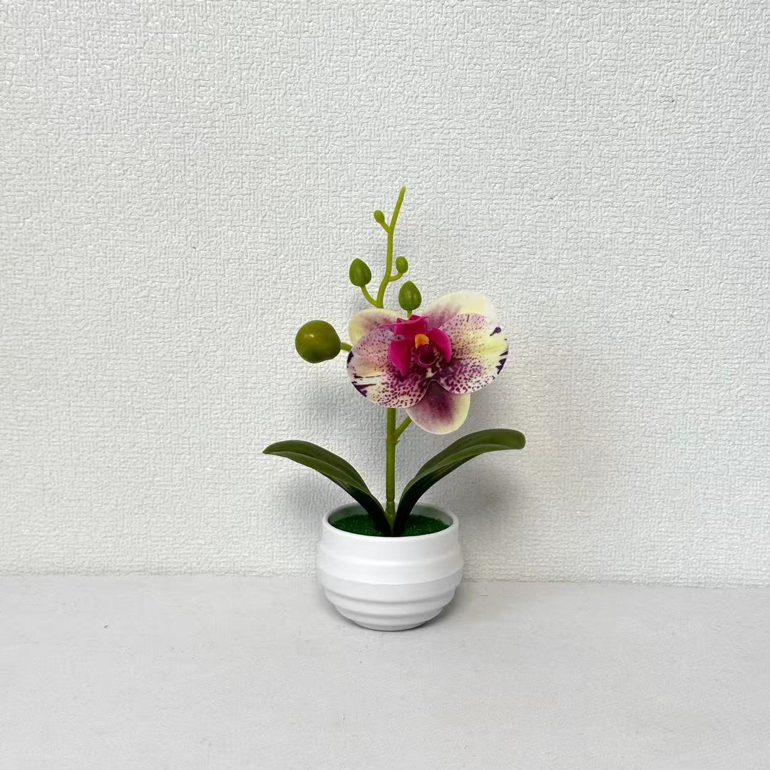 Lifelike Orchid Flower Pot Decoration
