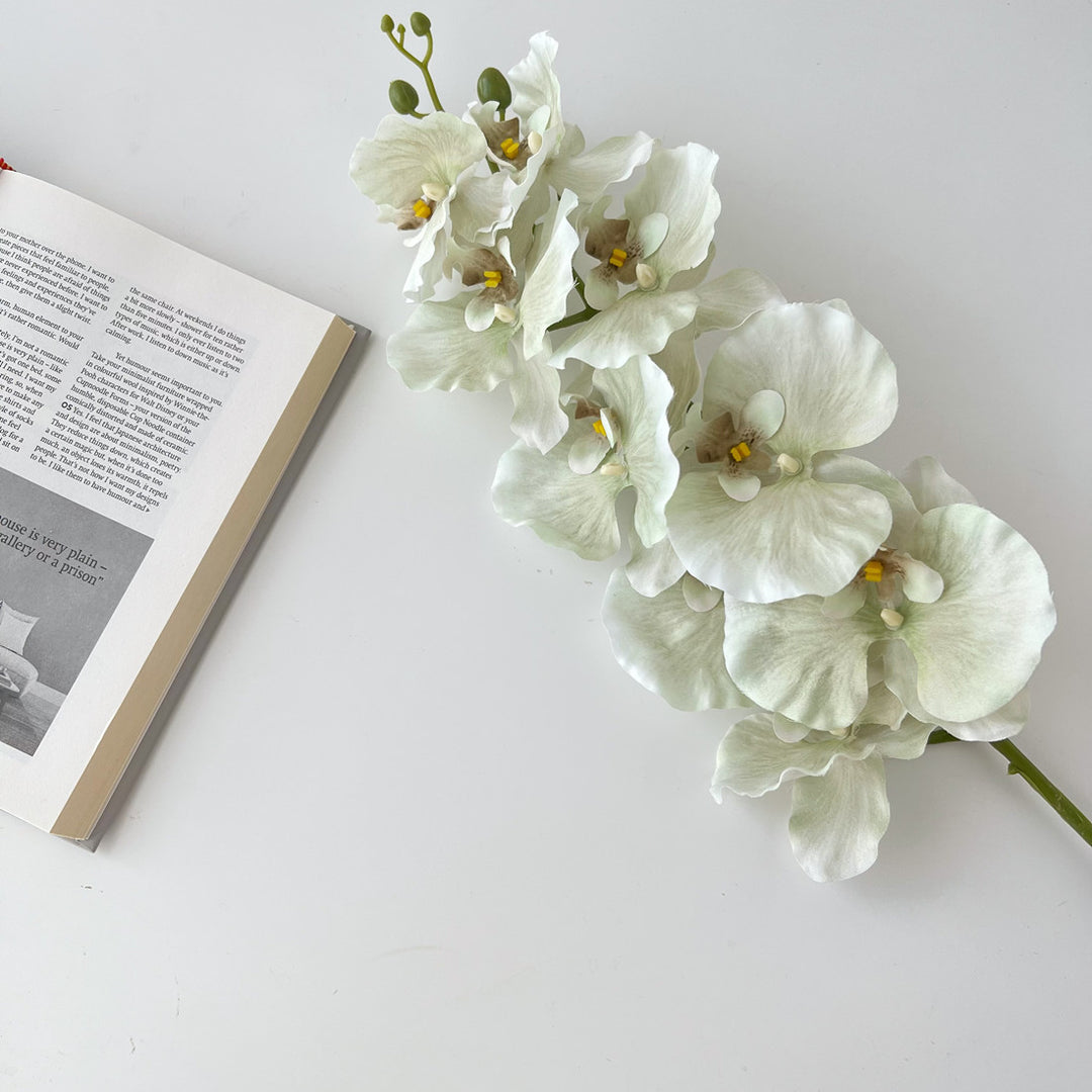Realistic Orchid Floral Stem