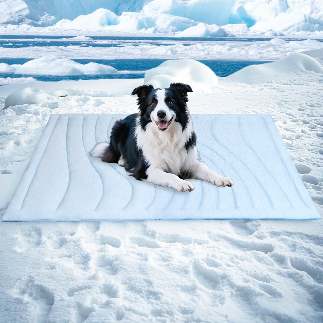Tier Snuggle Blanket Kalsten