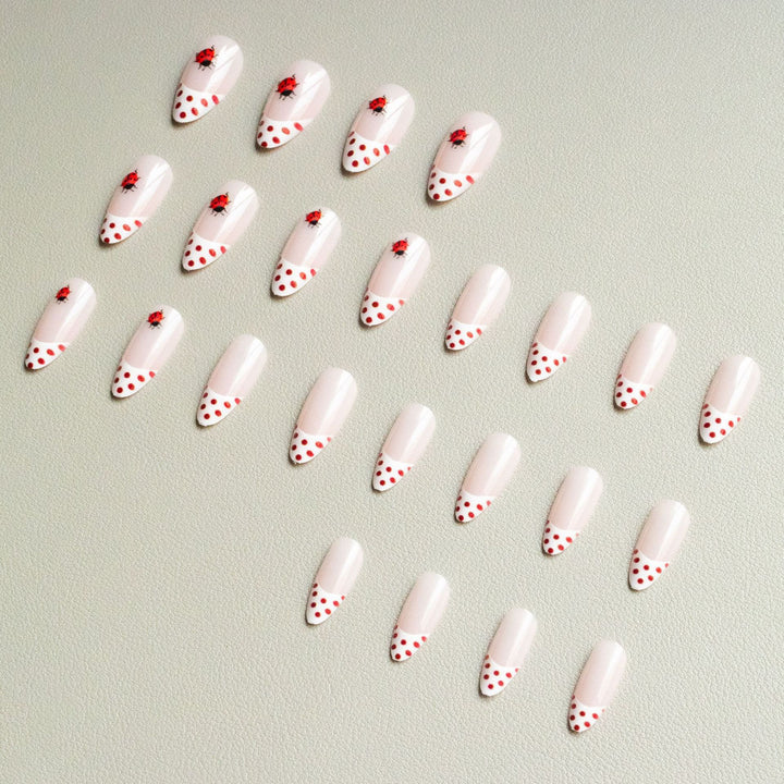 Artistic Ladybug-Themed Nail Art Kit