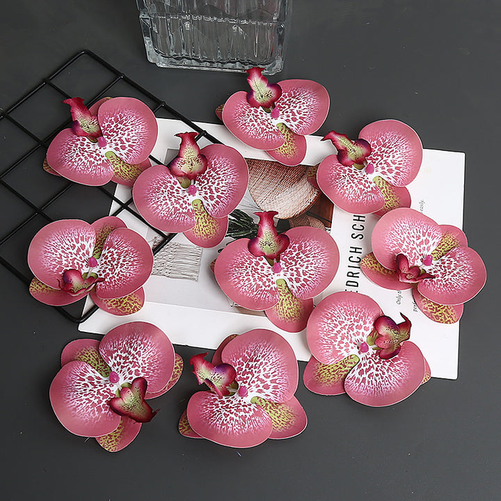Decorative Orchid Petal for Home Decor Display