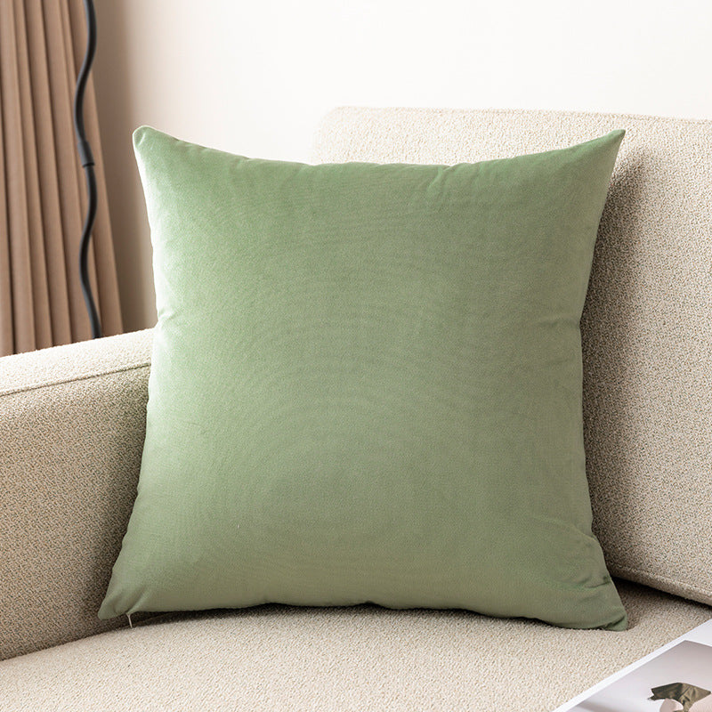 Plush Velvet Decorative Pillow