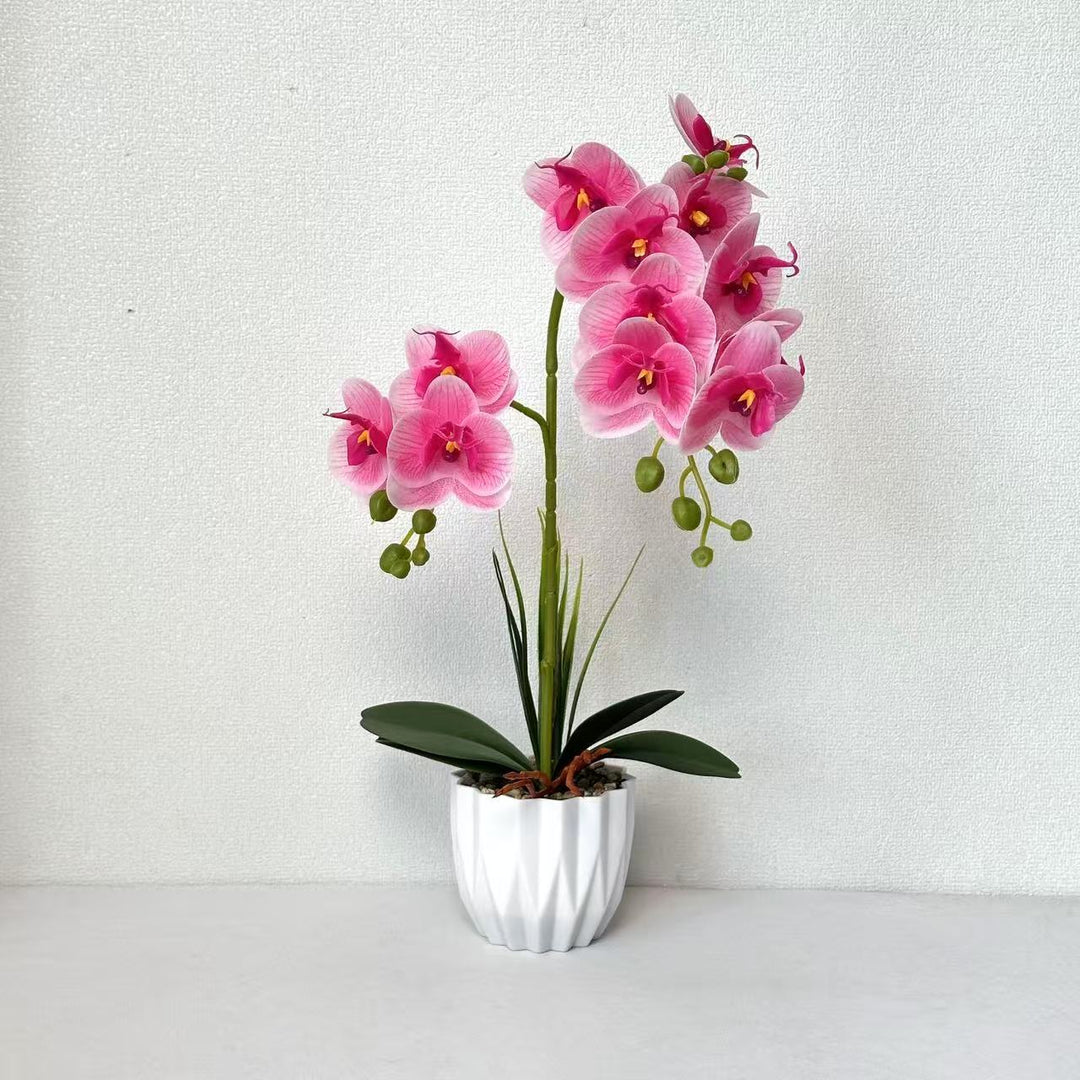 Lifelike Orchid Decorative Plant