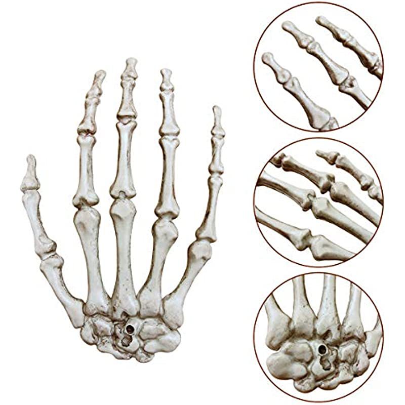 Decorative Skeleton Hand Wall Art Kalsten
