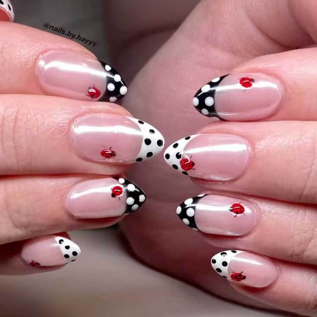 Creative Ladybug-Accent Nail Art Kit
