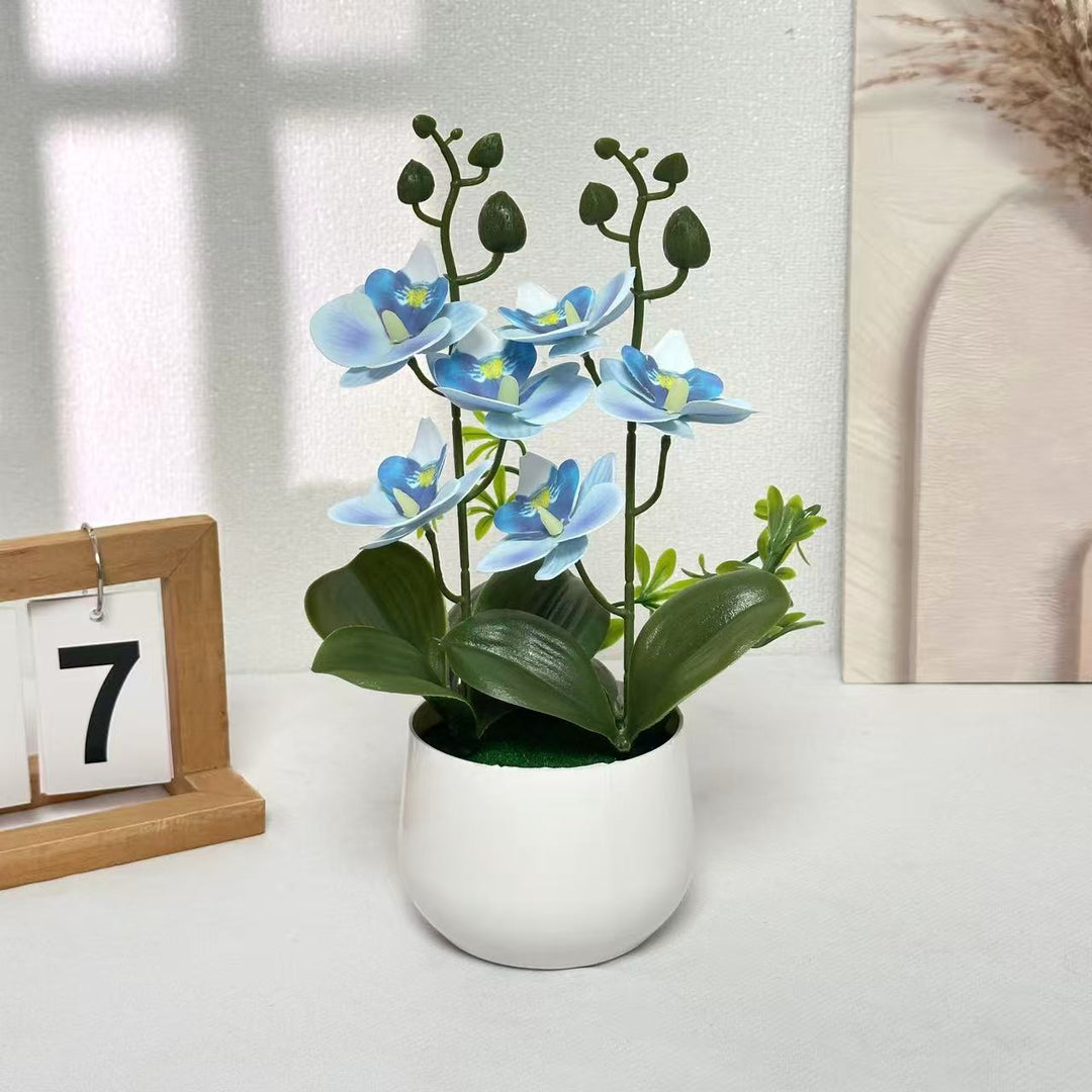 Orchid Floral Arrangement
