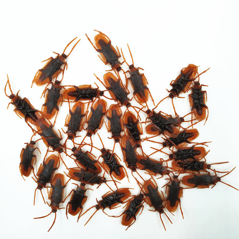 Realistic Insect Kalsten