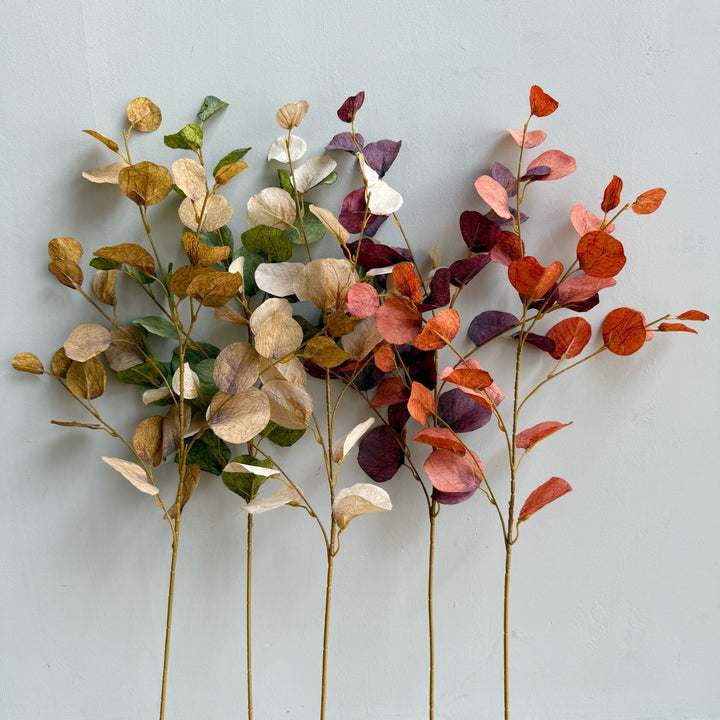 Elegant Decorative Eucalyptus Branch