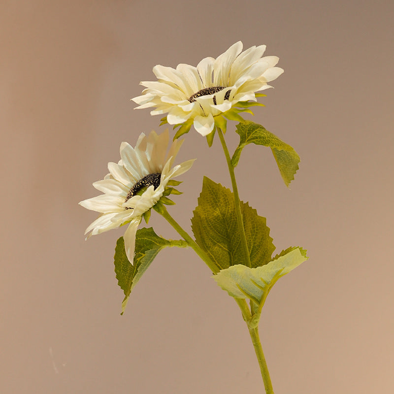 Decorative Sunflower Kalsten