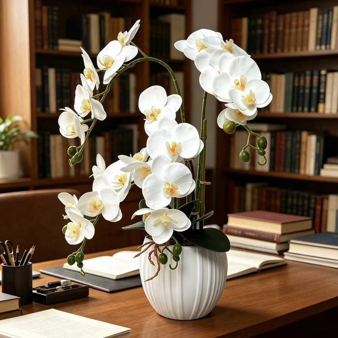 Elegant Orchid Flower Arrangement