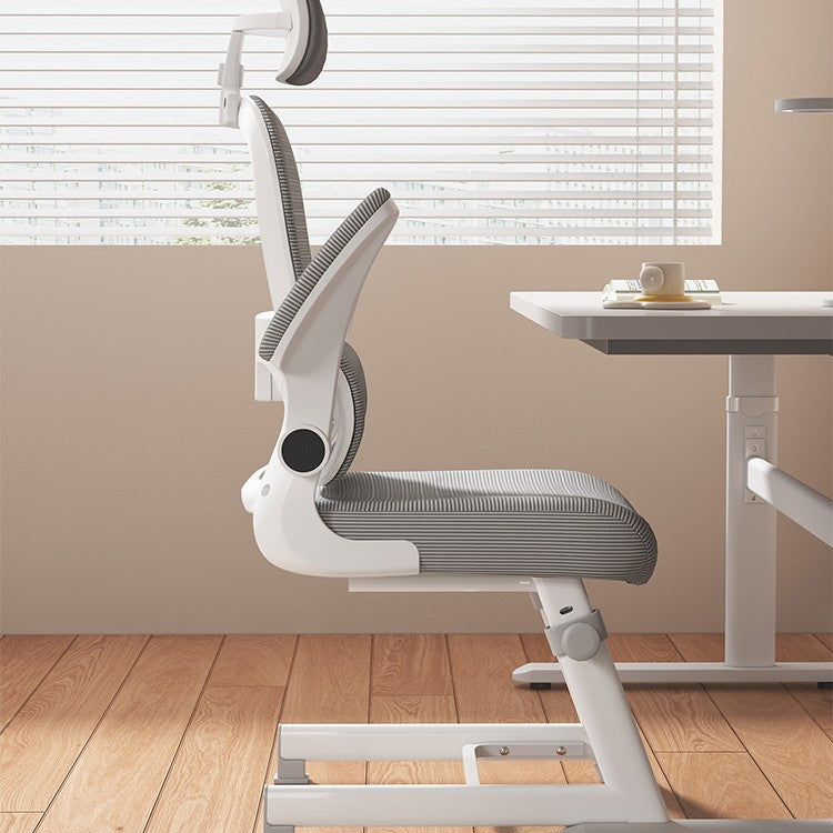 Ergonomic Office Chair Kalsten