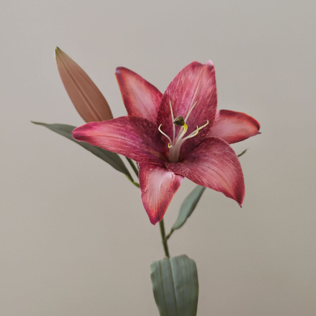 Lifelike Lily Stem